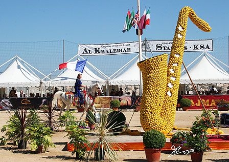 Menton Arabian Horse Show, 2007-2010 edition