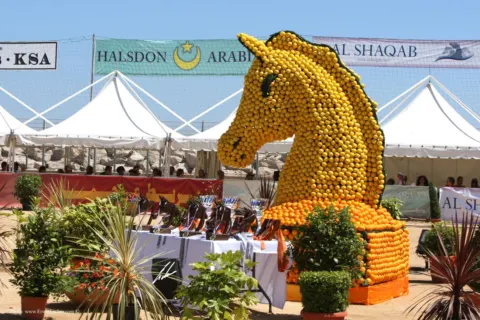 Menton Arabian Horse Show, 2007-2010 edition