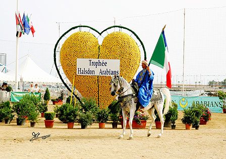 Menton Arabian Horse Show, 2007-2010 edition