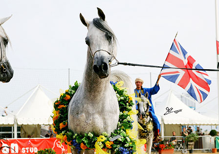 Menton Arabian Horse Show, 2007-2010 edition