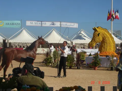 Menton Arabian Horse Show, 2007-2010 edition