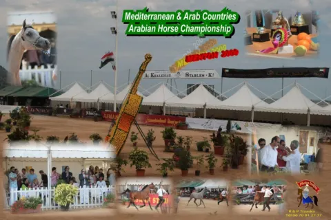 Menton Arabian Horse Show, 2007-2010 edition