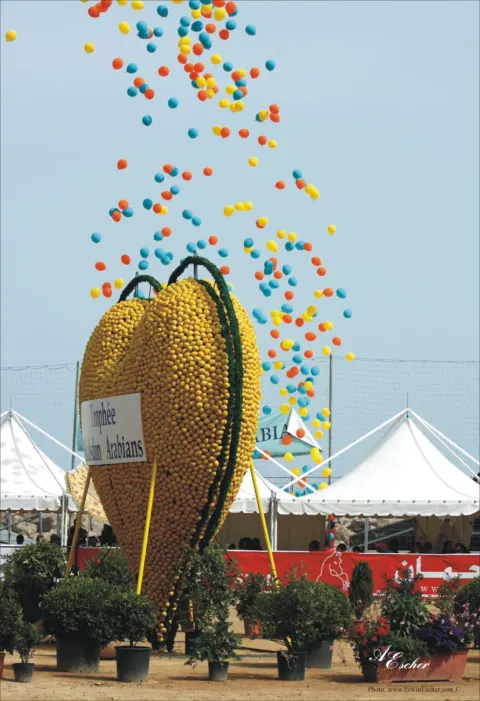 Menton Arabian Horse Show, 2007-2010 edition