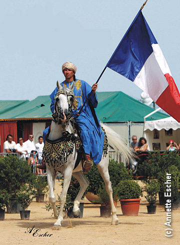 Menton Arabian Horse Show, 2007-2010 edition