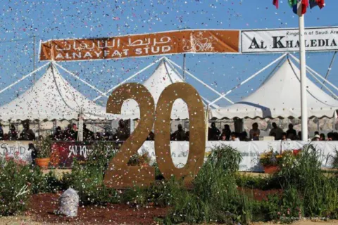 Menton Arabian Horse Show, 2011 edition