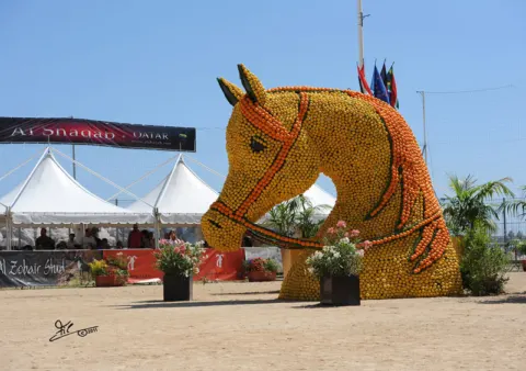 Menton Arabian Horse Show, 2011 edition