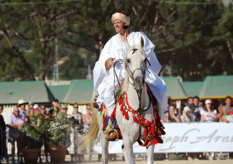 Menton Arabian Horse Show, 2011 edition