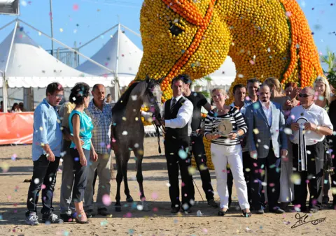 Menton Arabian Horse Show, 2011 edition