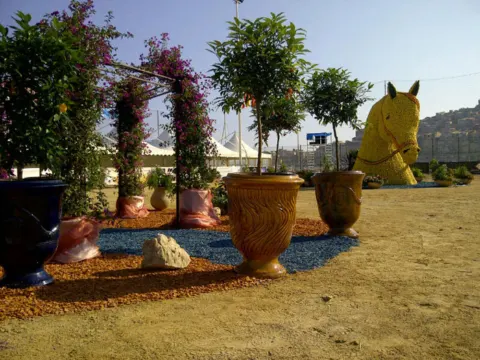 Menton Arabian Horse Show, 2012 edition