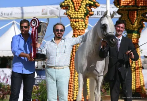 Menton Arabian Horse Show, 2013 edition