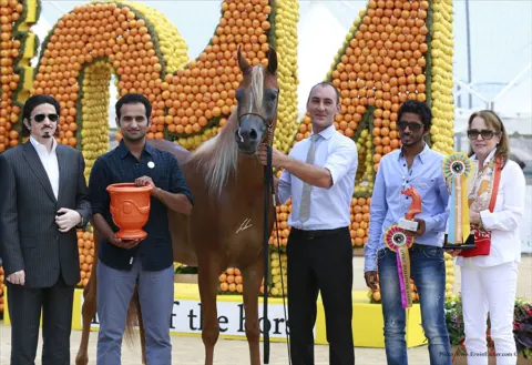 Menton Arabian Horse Show, 2014 edition
