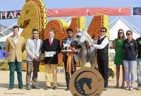 Menton Arabian Horse Show, 2014 edition