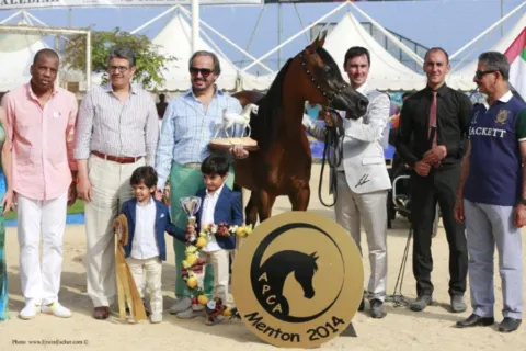 Menton Arabian Horse Show, 2014 edition