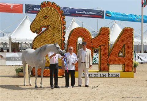 Menton Arabian Horse Show, 2014 edition