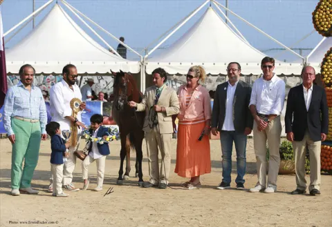Menton Arabian Horse Show, 2014 edition