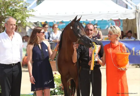 Menton Arabian Horse Show, 2014 edition