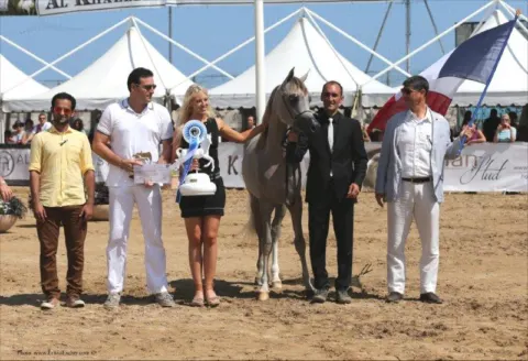 Menton Arabian Horse Show, 2015 edition