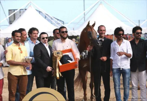 Menton Arabian Horse Show, 2015 edition