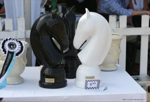 Menton Arabian Horse Show, 2015 edition
