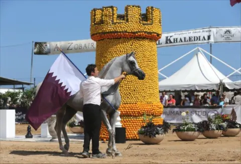 Menton Arabian Horse Show, 2015 edition