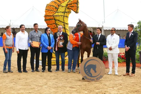 Menton Arabian Horse Show, 2016 edition