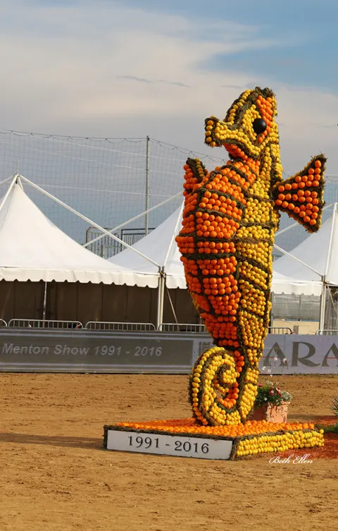 Menton Arabian Horse Show, 2016 edition