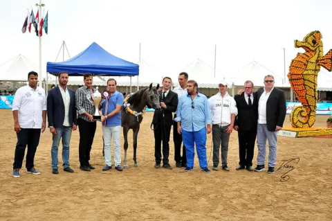 Menton Arabian Horse Show, 2016 edition