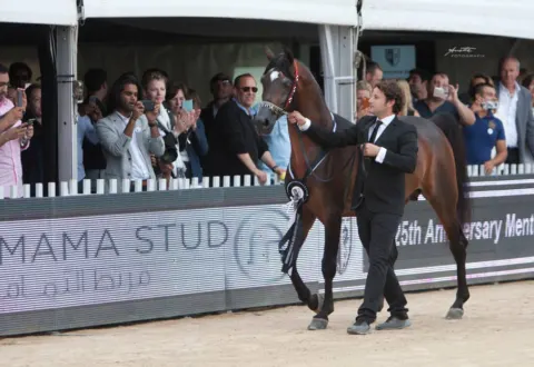Menton Arabian Horse Show, 2016 edition