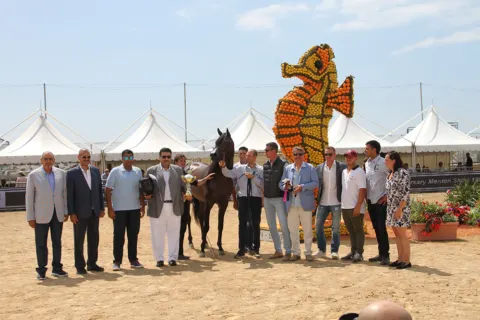 Menton Arabian Horse Show, 2016 edition