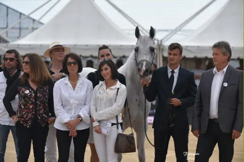 Menton Arabian Horse Show, 2016 edition