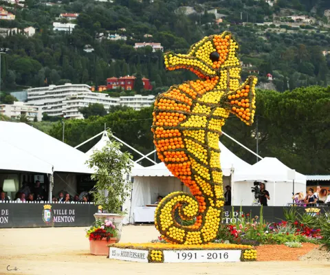 Menton Arabian Horse Show, 2016 edition