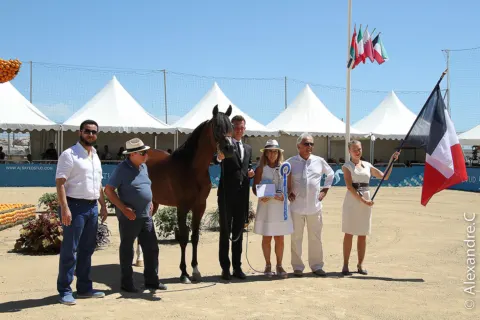 Menton Arabian Horse Show, 2017 edition