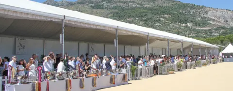 Menton Arabian Horse Show, 2017 edition