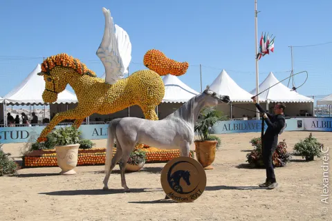 Menton Arabian Horse Show, 2017 edition