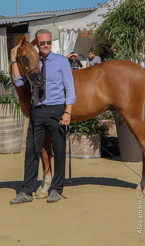 Menton Arabian Horse Show, 2017 edition