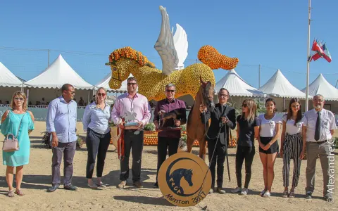 Menton Arabian Horse Show, 2017 edition