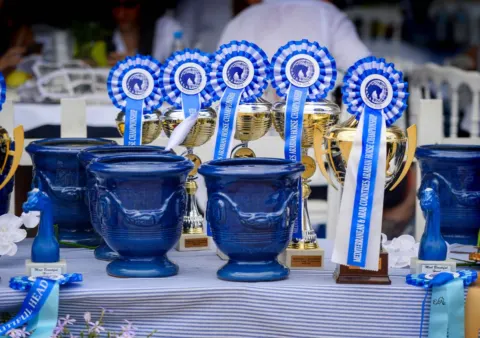 Menton Arabian Horse Show, 2018 edition
