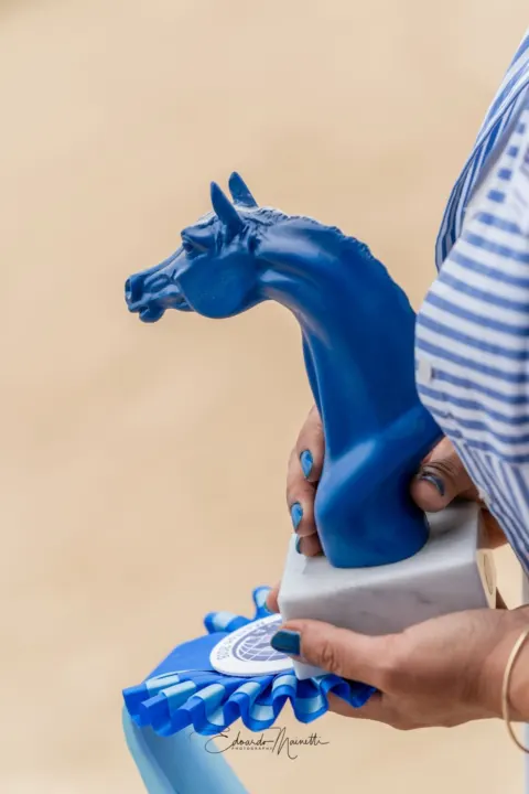 Menton Arabian Horse Show, 2018 edition