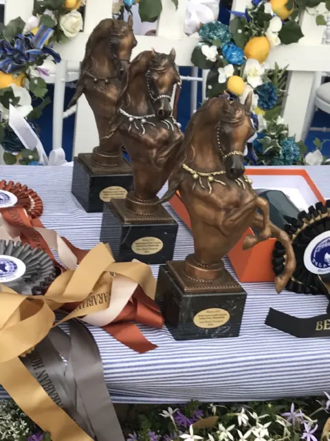 Menton Arabian Horse Show, 2018 edition