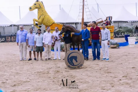 Menton Arabian Horse Show, 2018 edition