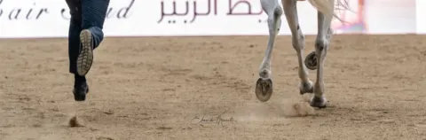 Menton Arabian Horse Show, 2018 edition