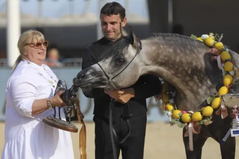 Menton Arabian Horse Show, 2019 edition