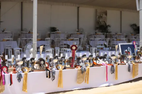 Menton Arabian Horse Show, 2019 edition