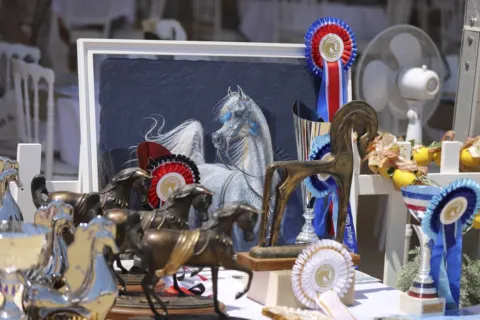 Menton Arabian Horse Show, 2019 edition