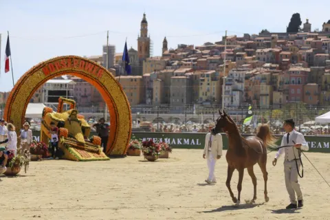 Menton Arabian Horse Show, 2019 edition