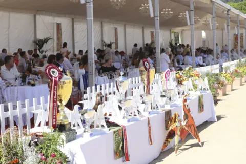 Menton Arabian Horse Show, 2020 edition