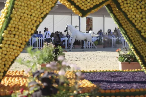 Menton Arabian Horse Show, 2020 edition