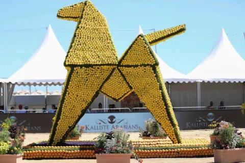 Menton Arabian Horse Show, 2020 edition