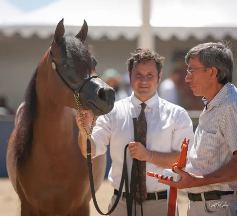 Menton Arabian Horse Show, 2020 edition