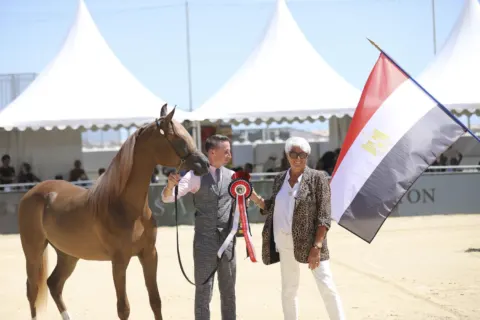 Menton Arabian Horse Show, 2020 edition